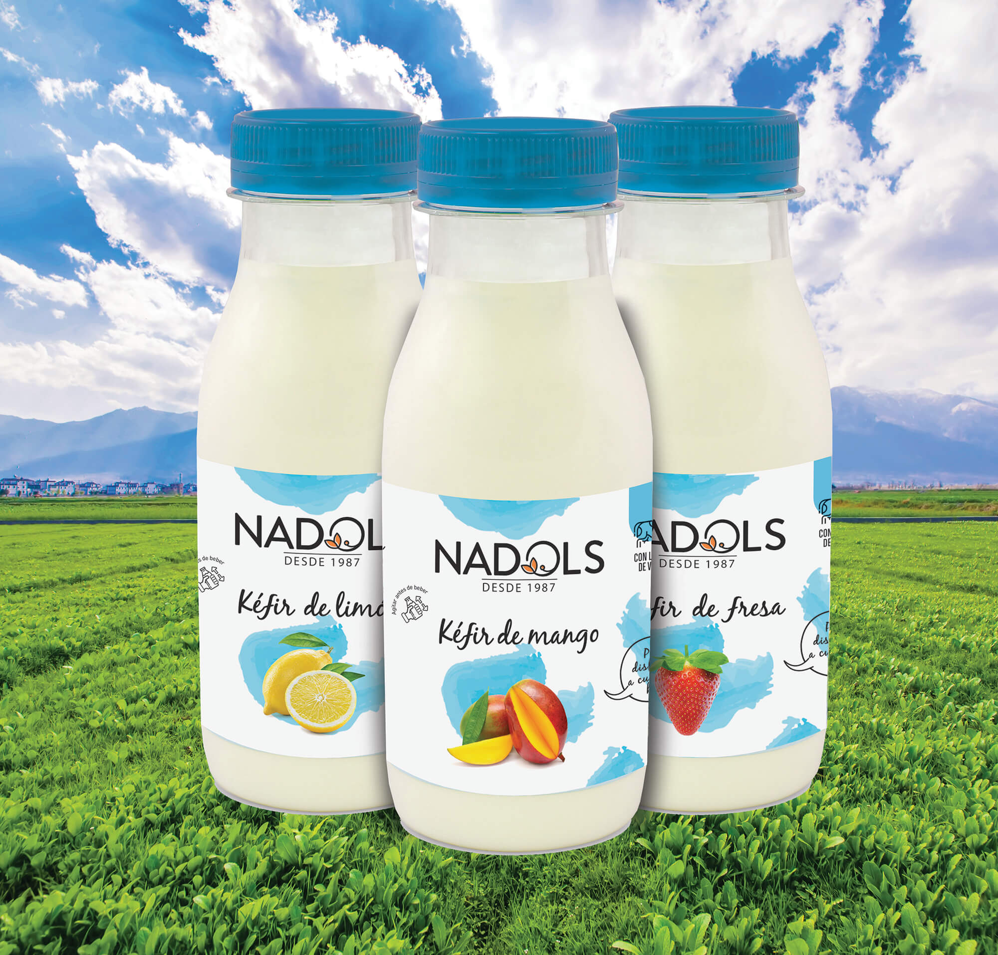 Etiquetas para bebidas ecológicas Eco Nadols | Dilograf Labels
